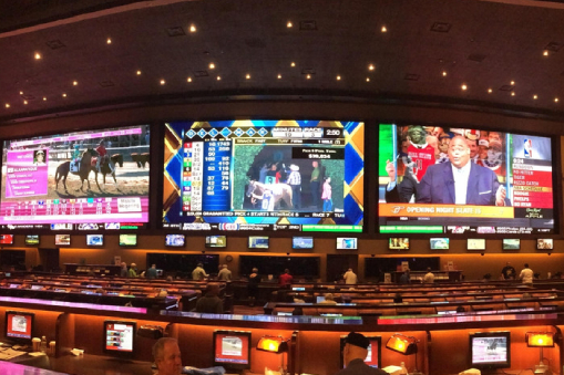 sports book